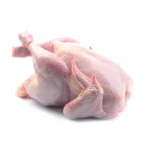 Fresh Chicken