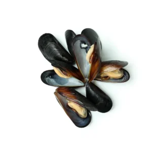 Mussels